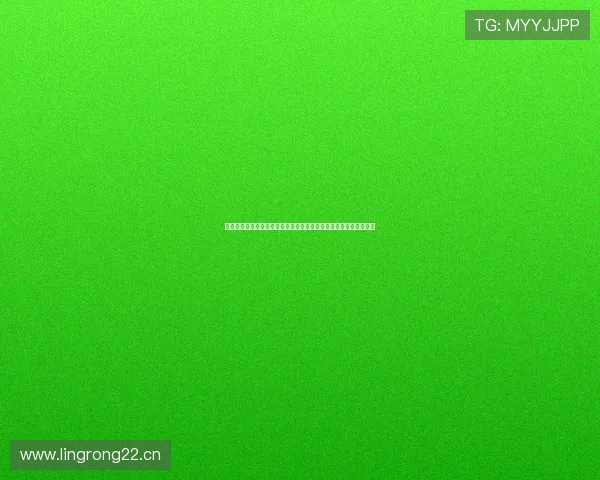 山猫球队如今更名为何队揭秘其变身夏洛特黄蜂的完整前世今生历程